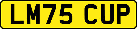 LM75CUP