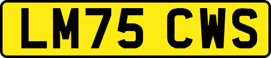 LM75CWS