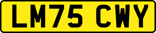 LM75CWY