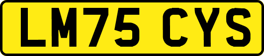 LM75CYS