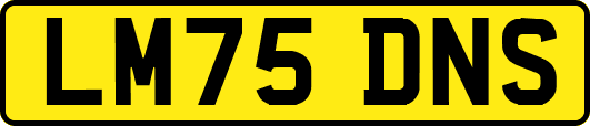 LM75DNS