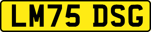 LM75DSG