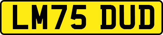 LM75DUD