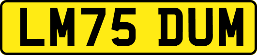LM75DUM