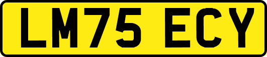 LM75ECY