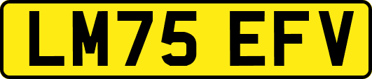 LM75EFV