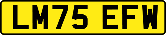LM75EFW