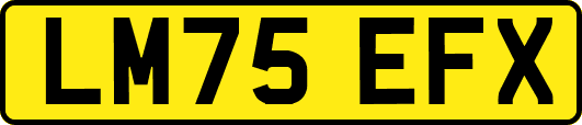 LM75EFX
