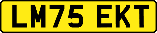 LM75EKT