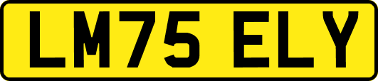 LM75ELY