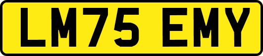 LM75EMY