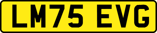 LM75EVG