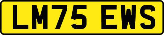 LM75EWS