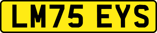 LM75EYS