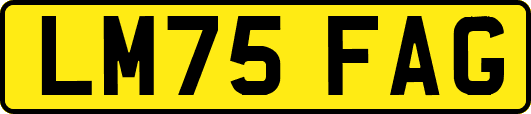 LM75FAG