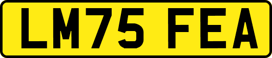 LM75FEA