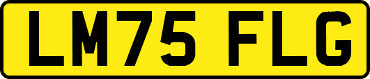 LM75FLG
