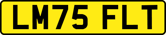 LM75FLT