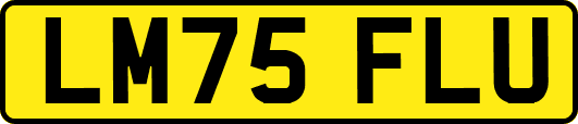 LM75FLU