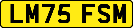 LM75FSM