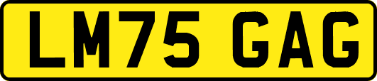 LM75GAG