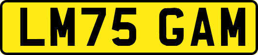 LM75GAM