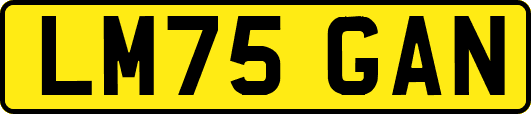 LM75GAN