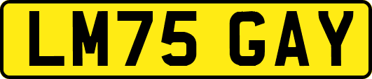 LM75GAY