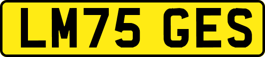 LM75GES