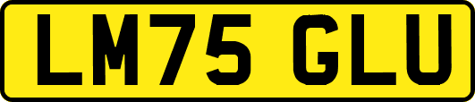 LM75GLU