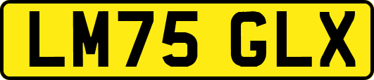 LM75GLX