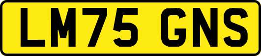 LM75GNS