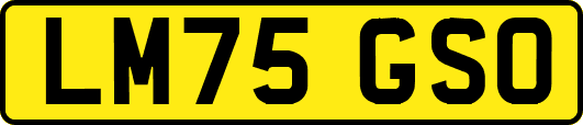 LM75GSO