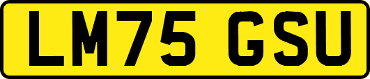 LM75GSU