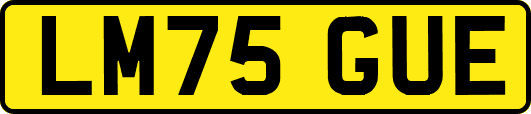 LM75GUE