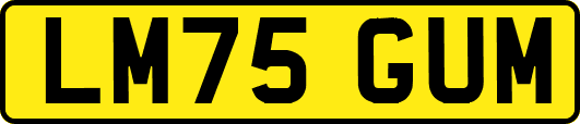 LM75GUM