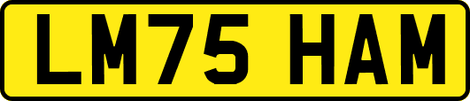 LM75HAM