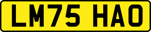 LM75HAO