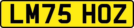 LM75HOZ