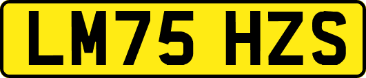 LM75HZS