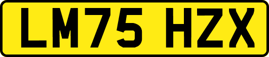 LM75HZX