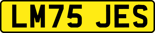 LM75JES