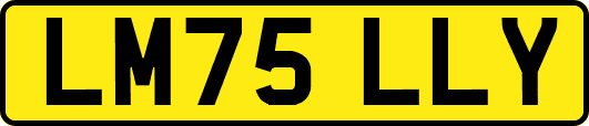 LM75LLY