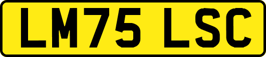 LM75LSC