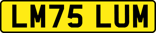 LM75LUM