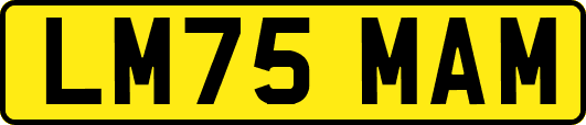 LM75MAM