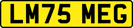 LM75MEG