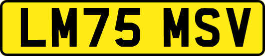 LM75MSV