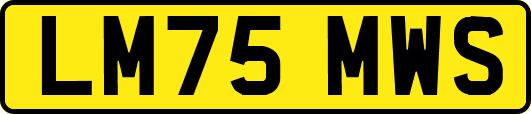 LM75MWS