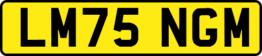 LM75NGM